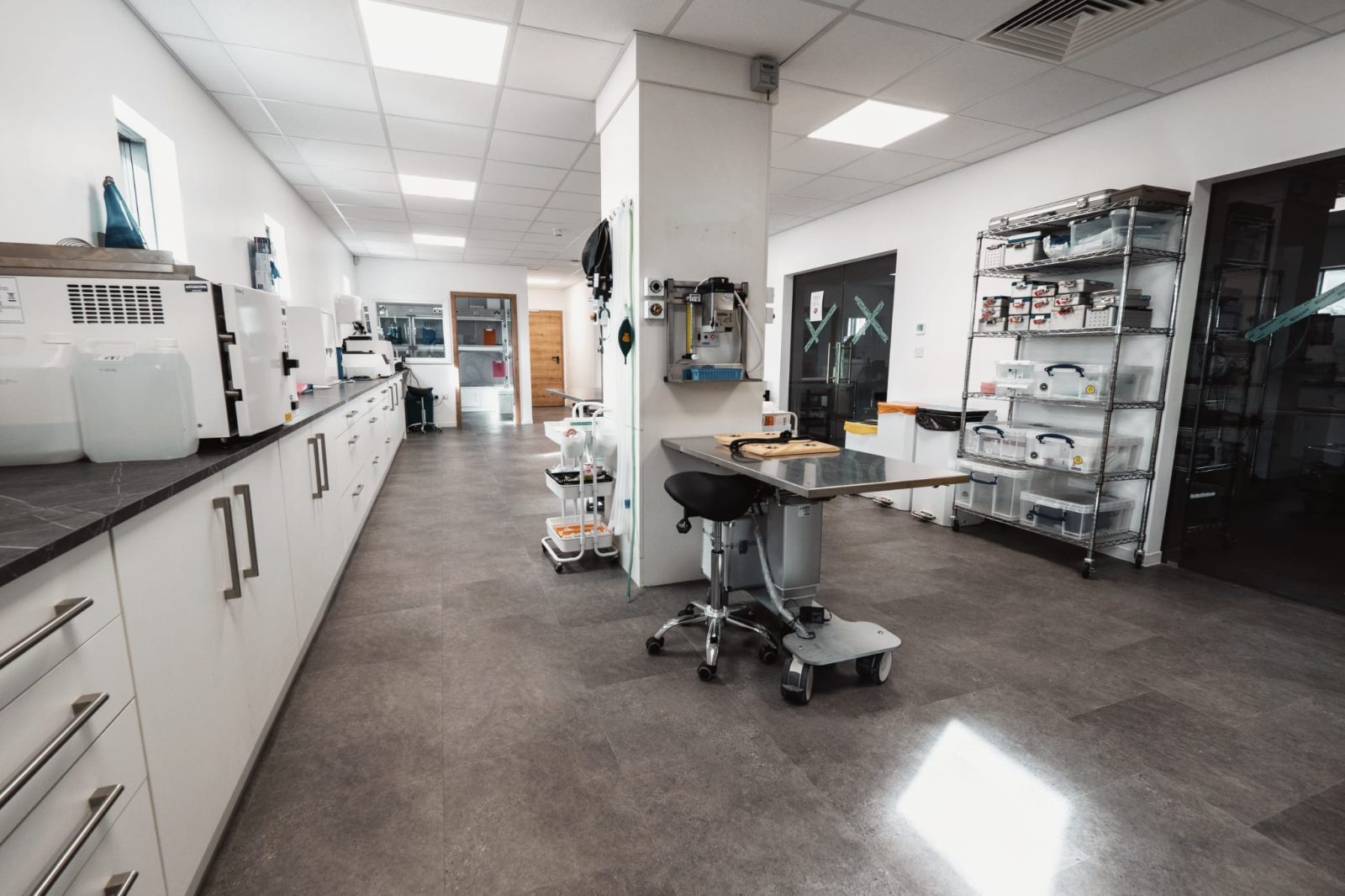 Oxford Veterinary Specialists Meet our team